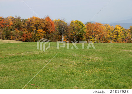 妙高高原の鮮やかな紅葉と芝生の写真素材