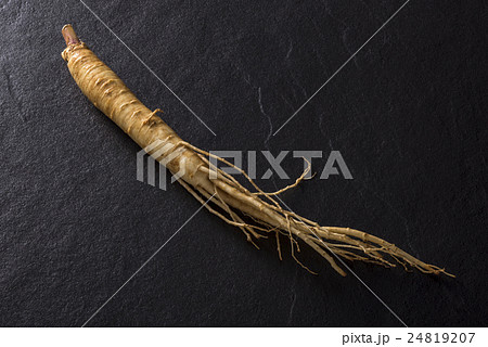 高麗人蔘 24819207