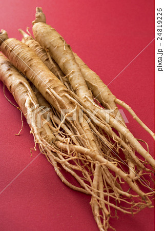 高麗人蔘 24819226