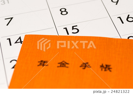 年金支給日 24821322