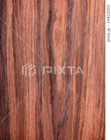 walnut, wood grain, natural rural tree background 24823055