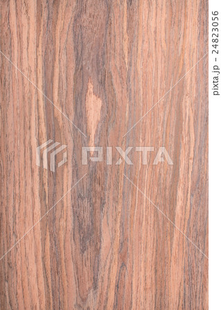 walnut wood grain ,  natural rural tree background 24823056