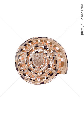 きれいな貝モザイク模様 きれいな貝モザイク模様 24824768