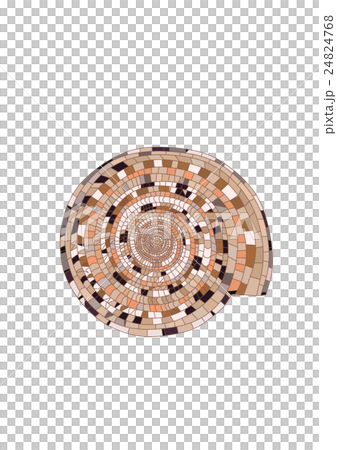 きれいな貝モザイク模様 きれいな貝モザイク模様 24824768