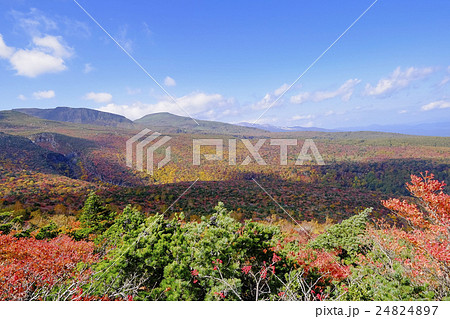 紅葉の安達太良山 紅葉の安達太良山 24824897