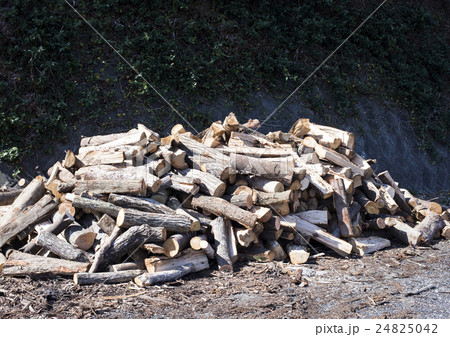 暖炉の槇 24825042