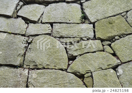 盛岡城の石垣（盛岡城跡公園(岩手公園)／岩手県盛岡市内丸1-37） 24825198