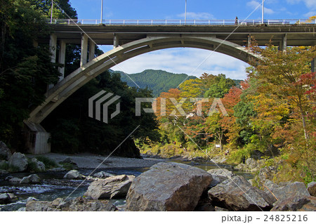 奥多摩・御岳橋の秋 24825216