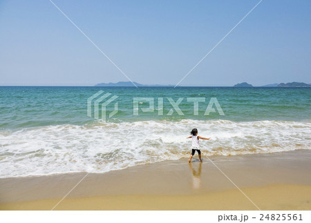 白石浜海岸 白石浜海岸 24825561