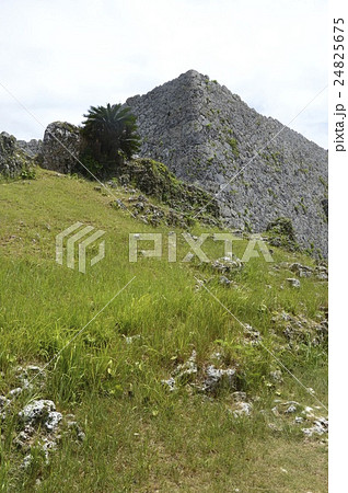 中城城跡の城壁(沖縄県中頭郡北中城村・中城村) 中城城跡の城壁(沖縄県中頭郡北中城村・中城村) 24825675