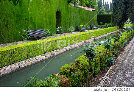 Court of the Water Channel at Generalife. Granada Court of the Water Channel at Generalife. Granada 24826134