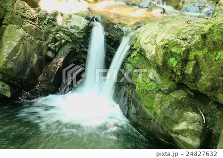 犬鳴山 犬鳴山 24827632