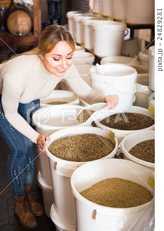 Woman picking seeds for birds in shop. Woman picking seeds for birds in shop. 24829281
