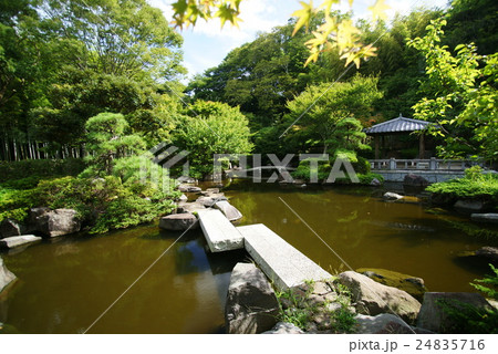 県立 大磯城山公園 不動池 の写真素材