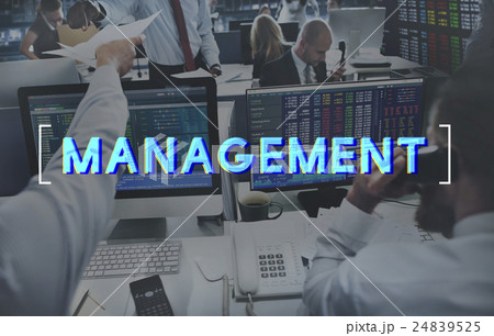 Management Business Controlling Organization Graphic Concept 24839525