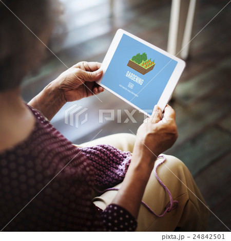 Gardening Botany Flower Growth Spring Summer Concept 24842501