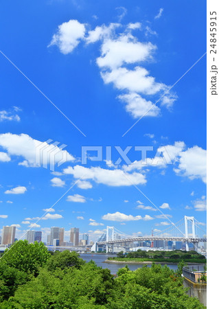 東京 都市風景 【お台場・レインボーブリッジ】 東京 都市風景 【お台場・レインボーブリッジ】 24845915