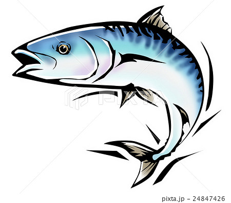 魚イラストのイラスト素材 24847426 Pixta