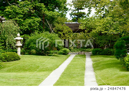 旧吉田茂邸庭園　 24847476