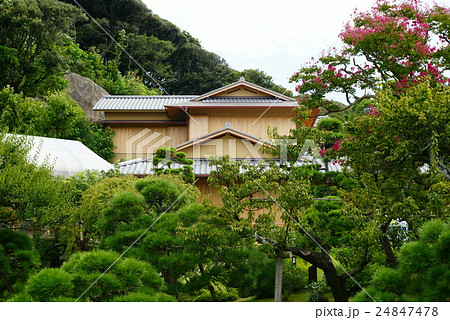 旧吉田茂邸庭園　 24847478
