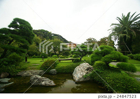 旧吉田茂邸庭園 旧吉田茂邸庭園 24847523