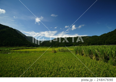 伊東市「池」の里風景 24847690