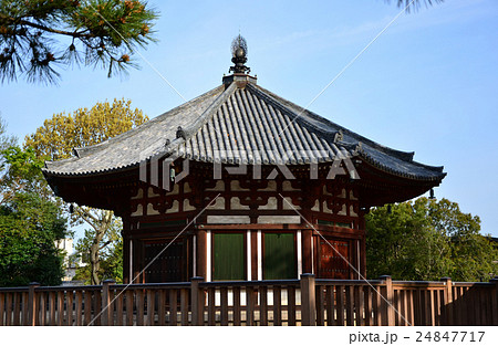 興福寺　北円堂（2016.4） 24847717