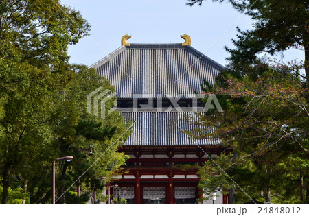 東大寺　大仏殿（2016.4） 24848012