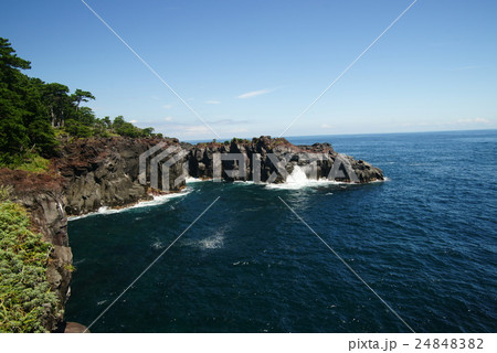 東伊豆　城ヶ崎海岸 24848382