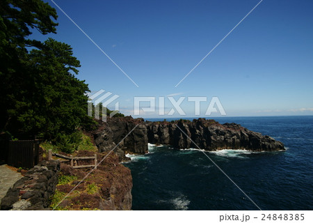 東伊豆 城ヶ崎海岸 東伊豆 城ヶ崎海岸 24848385