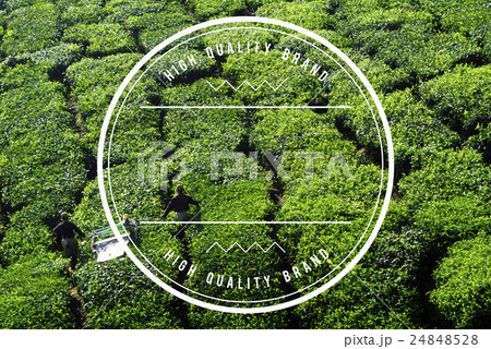 Quality Brand Product Standard Trademark Value Concept 24848528