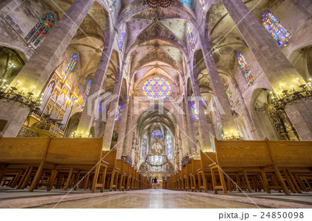 Interior of Cathedral of Santa Maria of Palma 24850098
