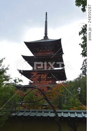 最勝院の「五重塔」（青森県弘前市銅屋町） 24850287