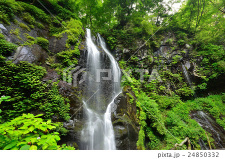 日光裏見の滝 24850332