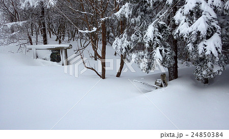 雪の横田別れ　積雪 24850384