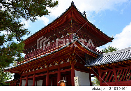 妙心寺　三門（2016.4） 24850464