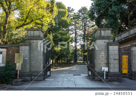 東京都目黒区の駒場公園 24850551