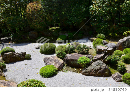 退蔵院　妙心寺塔頭　元信の庭（2016.4） 24850749