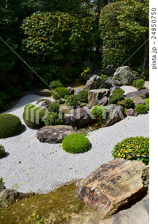 退蔵院　妙心寺塔頭　元信の庭（2016.4） 24850750