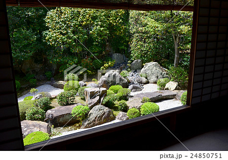 退蔵院　妙心寺塔頭　元信の庭（2016.4） 24850751