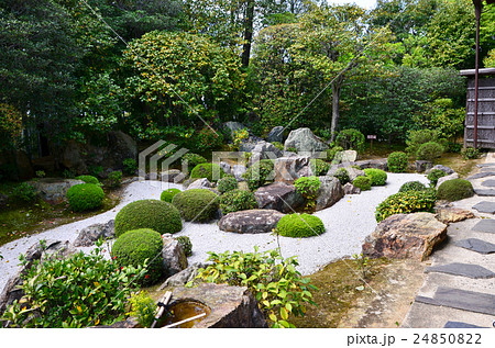 退蔵院　妙心寺塔頭　元信の庭（2016.4） 24850822