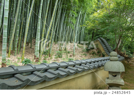 京都　初秋の化野念仏寺　竹林の低い壁と灯ろう 24852645
