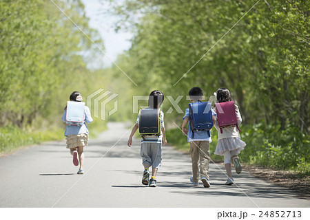 一本道を歩く小学生の後姿の写真素材