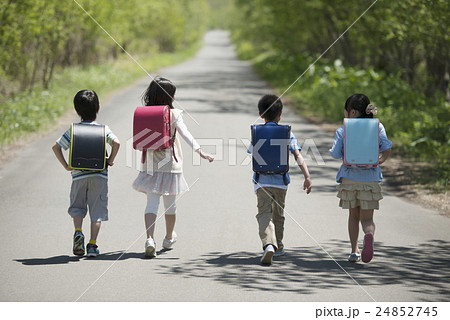 一本道を歩く小学生の後姿 24852745