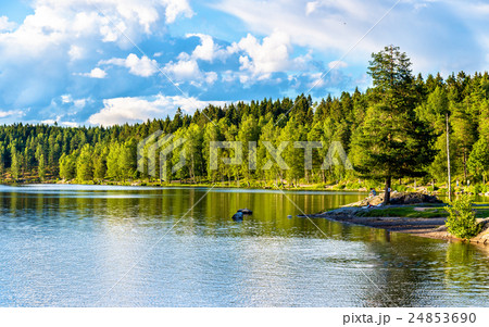 Sognsvann lake north of Oslo Sognsvann lake north of Oslo 24853690