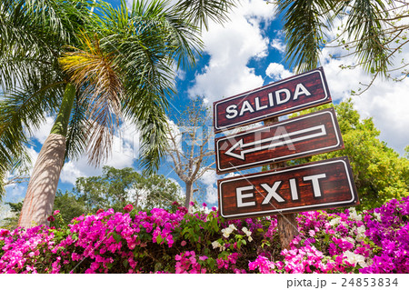 Sign Salida Exit with arrow 24853834