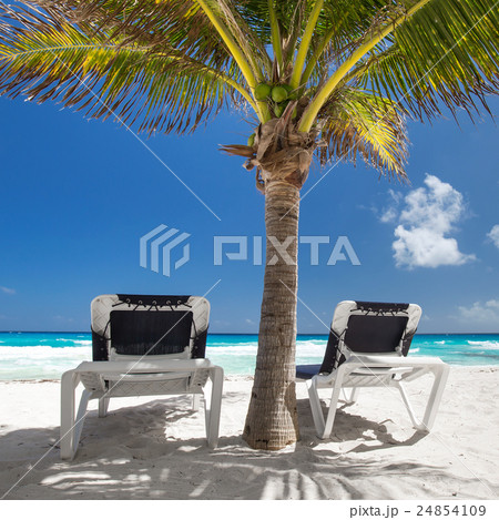 Two beach beds under palm tree on  beachfront 24854109