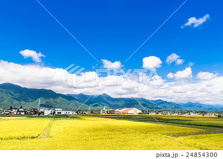 秋の信州 安曇野の田園風景と北アルプスの写真素材 [24854300] - PIXTA