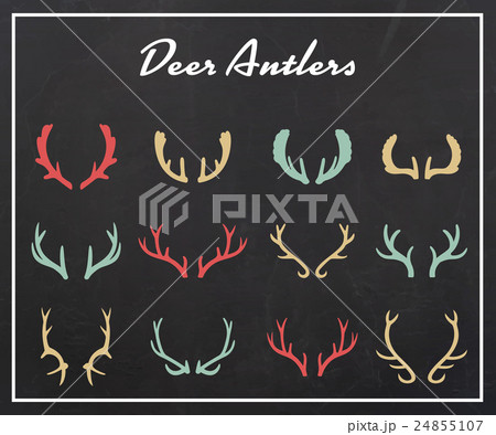 Vintage silhouettes of different deer horns Vintage silhouettes of different deer horns 24855107