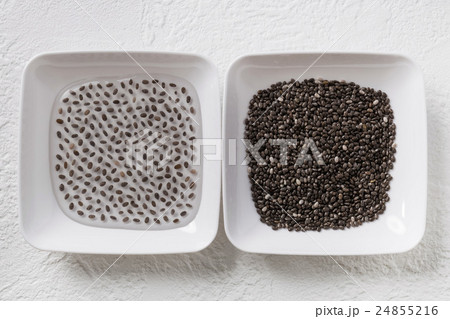 チアシード Chia seeds(Salvia hispanica) 24855216